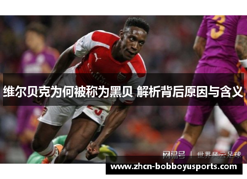 维尔贝克为何被称为黑贝 解析背后原因与含义